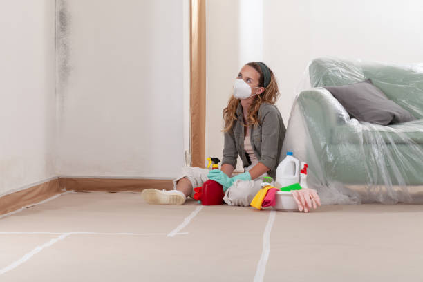 Reliable Black Mold Remediation contractor in Westminster, TX by Car Mold Remediation